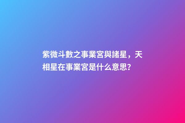紫微斗數之事業宮與諸星，天相星在事業宮是什么意思？