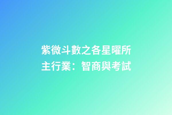 紫微斗數之各星曜所主行業：智商與考試