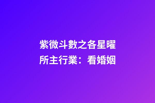 紫微斗數之各星曜所主行業：看婚姻