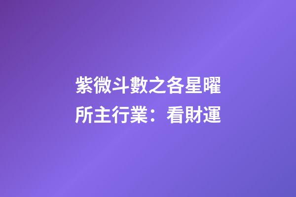 紫微斗數之各星曜所主行業：看財運