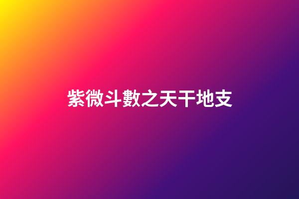 紫微斗數之天干地支
