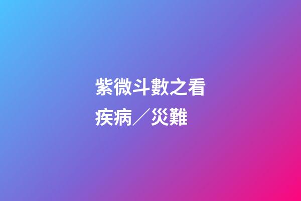 紫微斗數之看疾病／災難