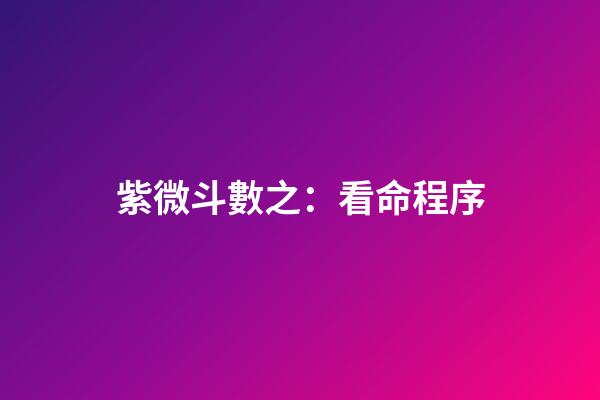 紫微斗數之：看命程序