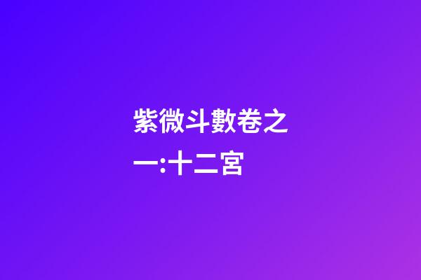 紫微斗數卷之一:十二宮