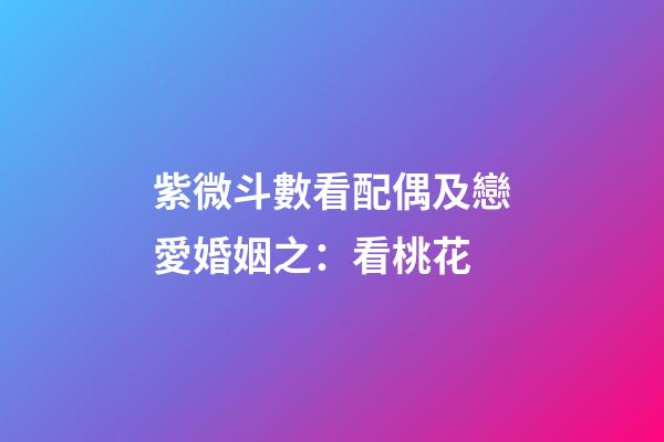 紫微斗數看配偶及戀愛婚姻之：看桃花