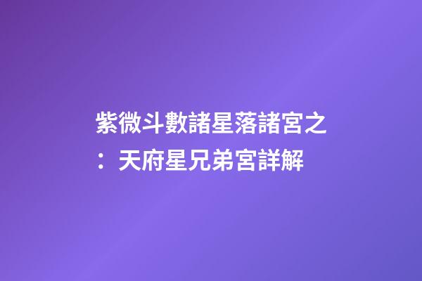 紫微斗數諸星落諸宮之：天府星兄弟宮詳解