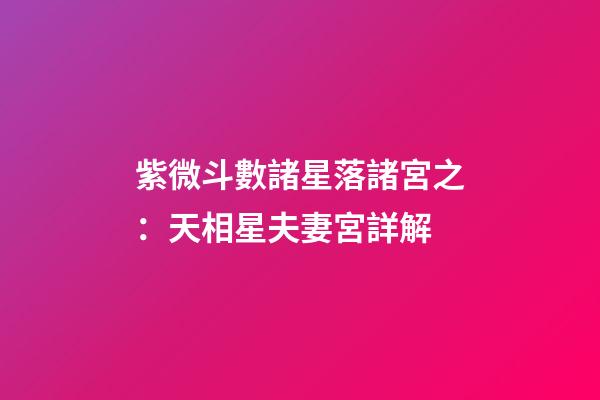 紫微斗數諸星落諸宮之：天相星夫妻宮詳解