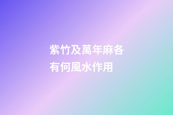 紫竹及萬年麻各有何風水作用?