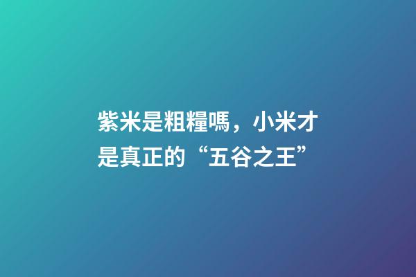 紫米是粗糧嗎，小米才是真正的“五谷之王”-第1張-觀點-玄機派