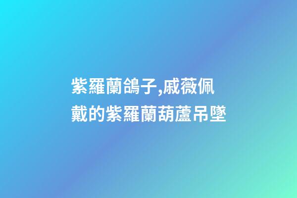 紫羅蘭鴿子,戚薇佩戴的紫羅蘭葫蘆吊墜-第1張-觀點-玄機派
