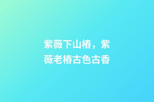 紫薇下山樁，紫薇老樁古色古香-第1張-觀點-玄機派