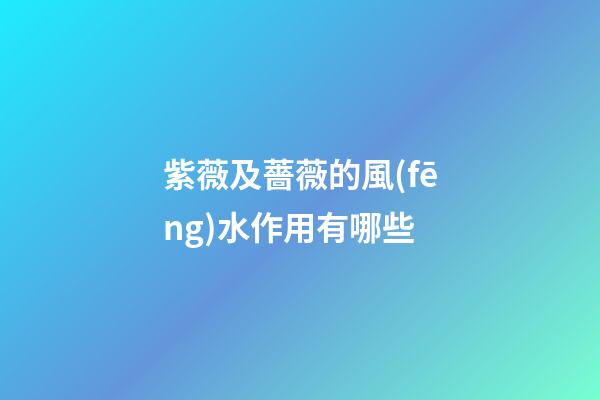 紫薇及薔薇的風(fēng)水作用有哪些?