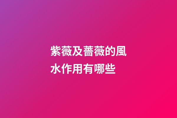 紫薇及薔薇的風水作用有哪些?
