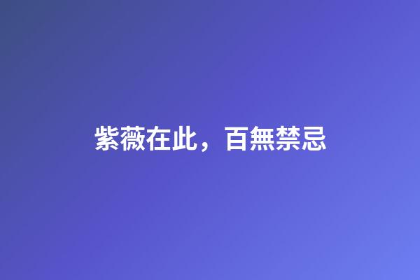 紫薇在此，百無禁忌