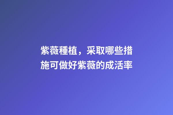 紫薇種植，采取哪些措施可做好紫薇的成活率-第1張-觀點-玄機派