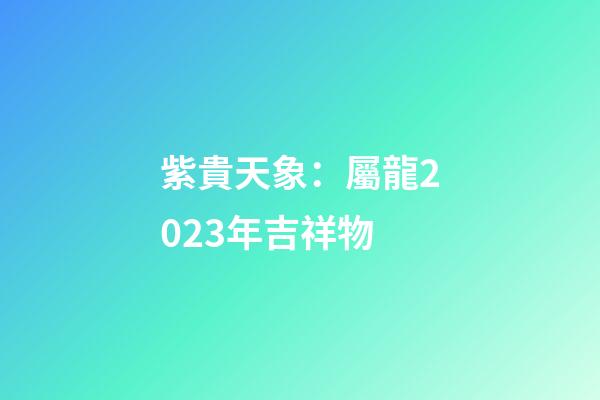 紫貴天象：屬龍2023年吉祥物