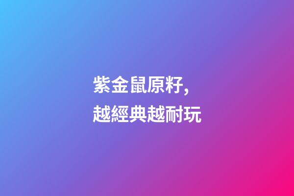 紫金鼠原籽,越經典越耐玩-第1張-觀點-玄機派