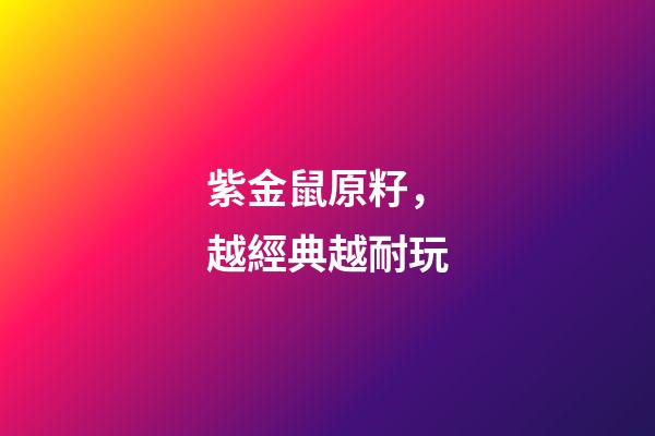紫金鼠原籽，越經典越耐玩-第1張-觀點-玄機派