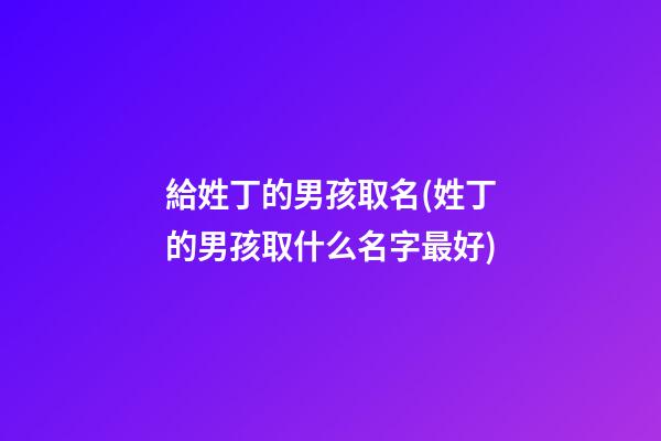 給姓丁的男孩取名(姓丁的男孩取什么名字最好)