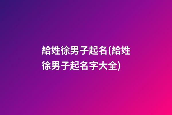 給姓徐男子起名(給姓徐男子起名字大全)