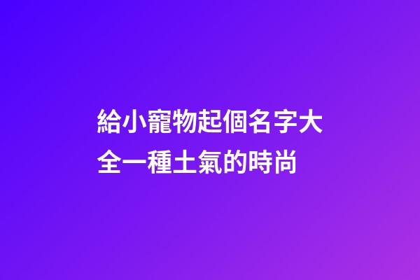給小寵物起個名字大全一種土氣的時尚