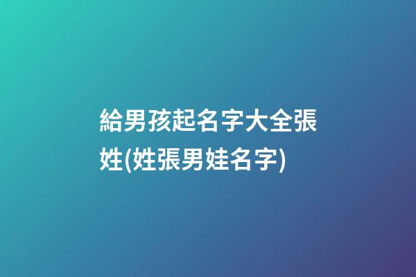 給男孩起名字大全張姓(姓張男娃名字)