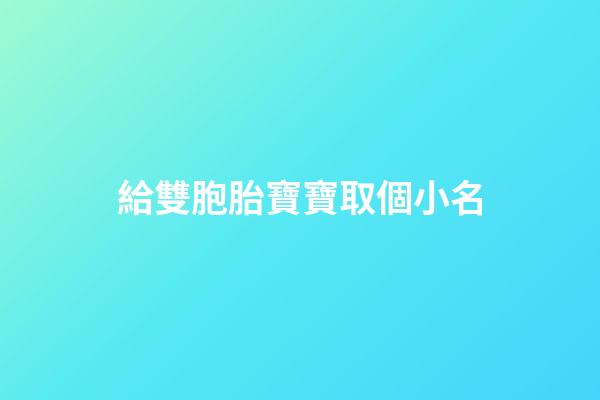 給雙胞胎寶寶取個小名(給雙胞胎寶寶起小名)-第1張-寶寶起名-玄機派