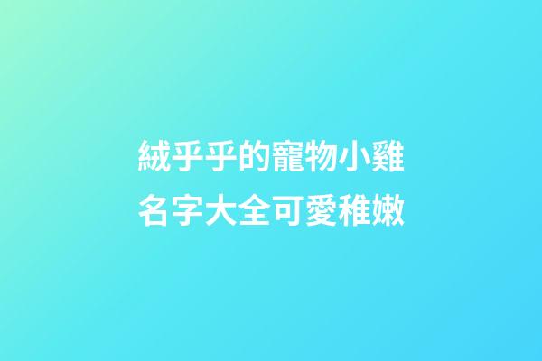 絨乎乎的寵物小雞名字大全可愛稚嫩