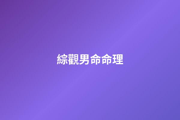 綜觀男命命理