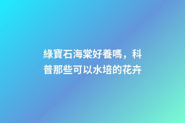 綠寶石海棠好養嗎，科普那些可以水培的花卉-第1張-觀點-玄機派