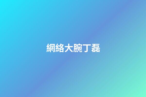 網絡大腕丁磊