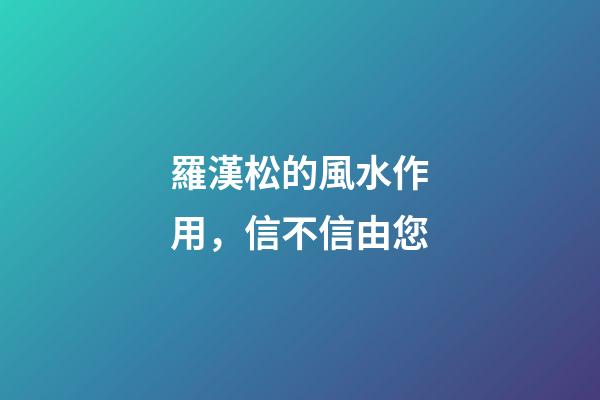羅漢松的風水作用，信不信由您