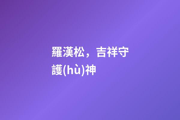 羅漢松，吉祥守護(hù)神