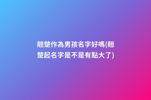 翹楚作為男孩名字好嗎(翹楚起名字是不是有點大了)