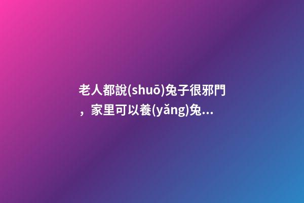 老人都說(shuō)兔子很邪門，家里可以養(yǎng)兔子嗎