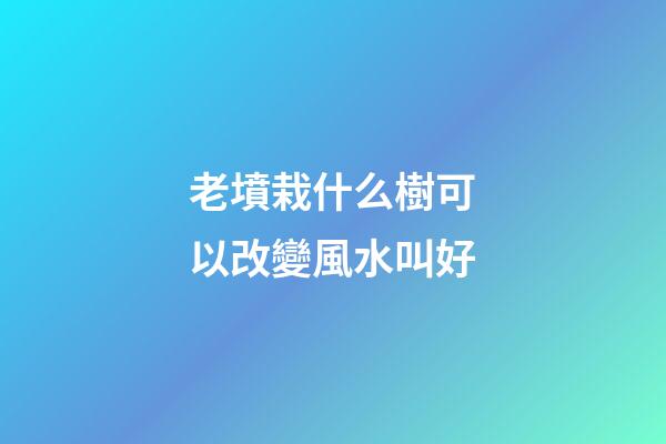 老墳栽什么樹可以改變風水叫好