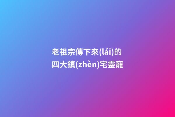 老祖宗傳下來(lái)的四大鎮(zhèn)宅靈寵