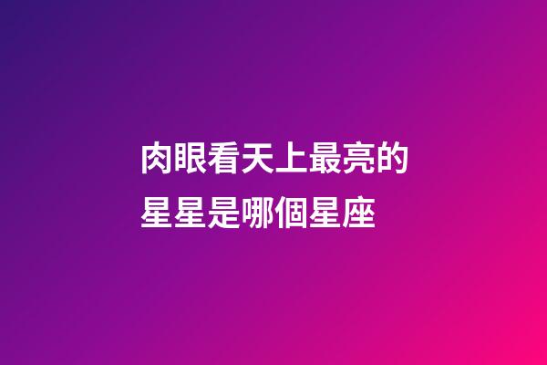 肉眼看天上最亮的星星是哪個星座-第1張-星座運勢-玄機派