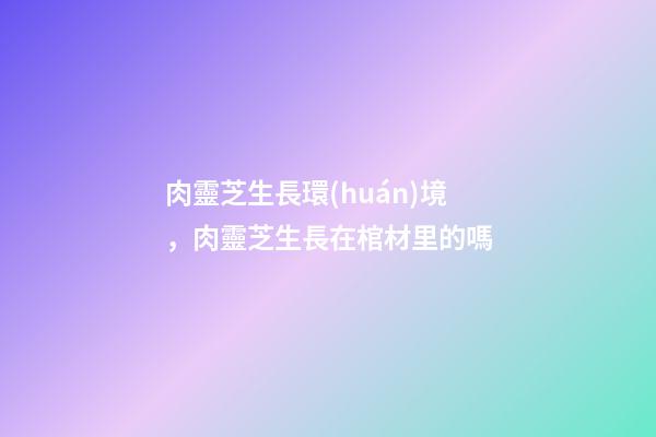 肉靈芝生長環(huán)境，肉靈芝生長在棺材里的嗎