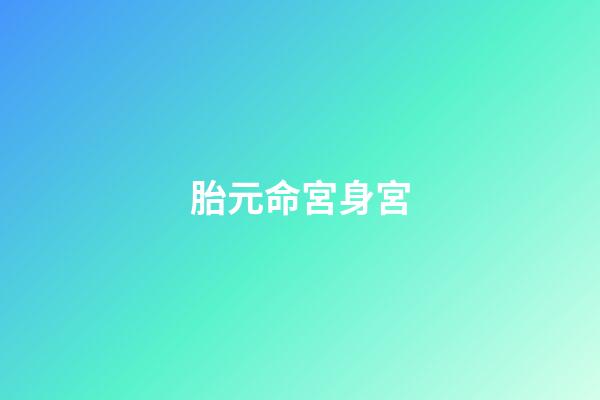 胎元命宮身宮