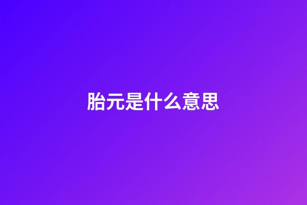 胎元是什么意思
