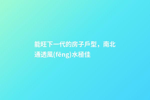 能旺下一代的房子戶型，南北通透風(fēng)水極佳