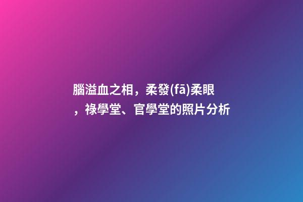 腦溢血之相，柔發(fā)柔眼，祿學堂、官學堂的照片分析