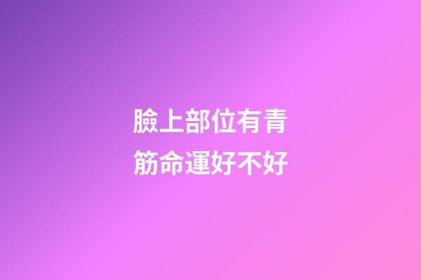 臉上部位有青筋命運好不好