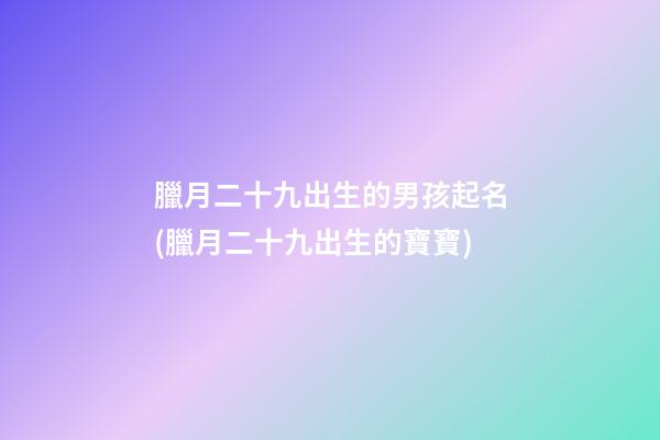 臘月二十九出生的男孩起名(臘月二十九出生的寶寶)