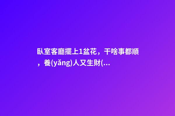 臥室客廳擺上1盆花，干啥事都順，養(yǎng)人又生財(cái)！