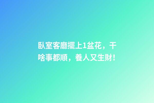 臥室客廳擺上1盆花，干啥事都順，養人又生財！