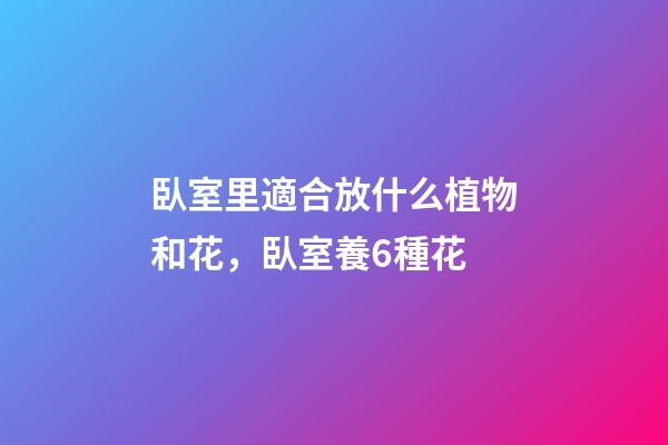 臥室里適合放什么植物和花，臥室養6種花-第1張-觀點-玄機派