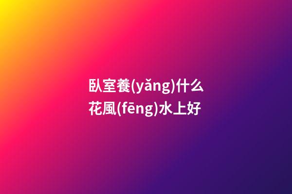 臥室養(yǎng)什么花風(fēng)水上好