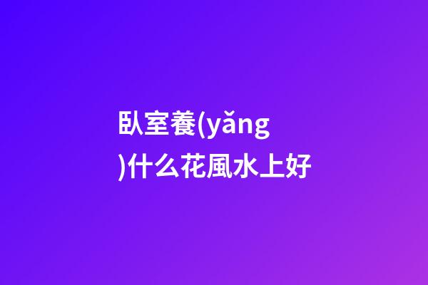 臥室養(yǎng)什么花風水上好